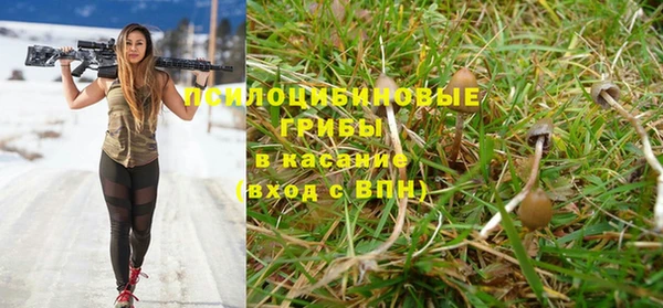 стафф Алексин