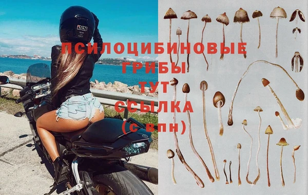 стафф Алексин