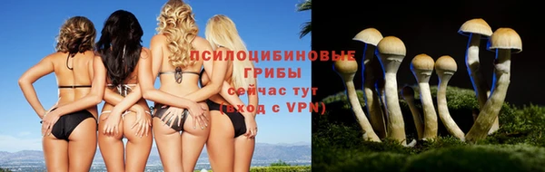 первитин Абинск