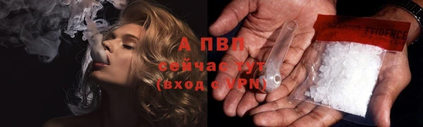 стафф Алексин
