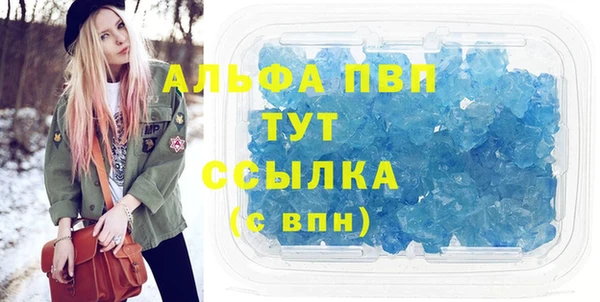 стафф Алексин