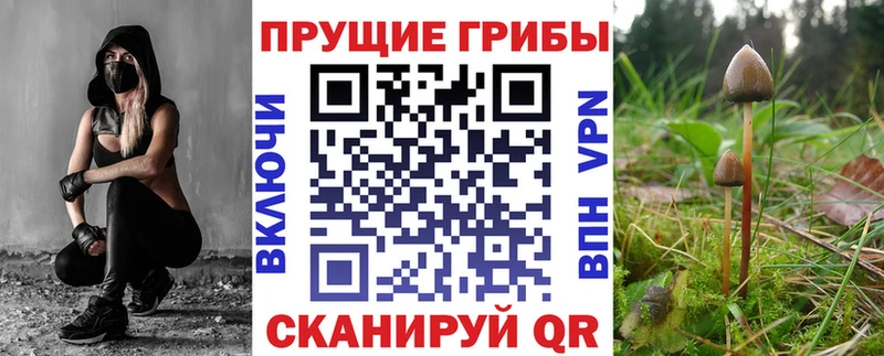 наркота  Россошь  omg tor  Галлюциногенные грибы Magic Shrooms 